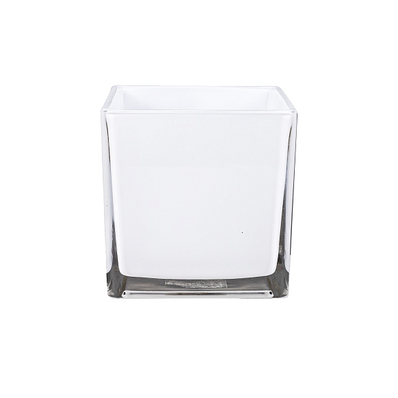 Роза чайно-гибридная Мейне Роз