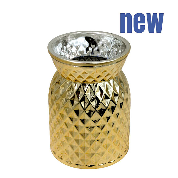 Туя западная Фаер Чиф