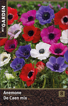 Анемона корончатая Де Каен микс