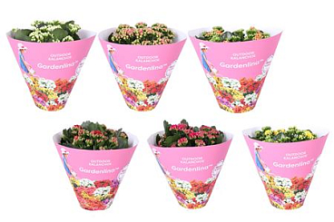 Kal Gardenlina Mix In Luxe Potcover