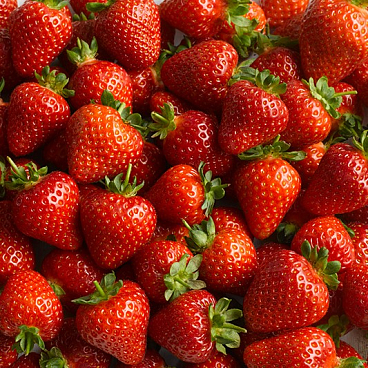 Земляника Свит Эви