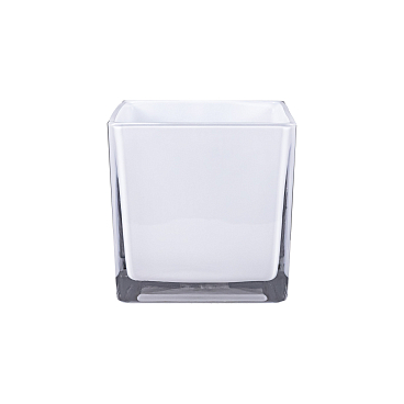 Роза флорибунда Ментор Роз