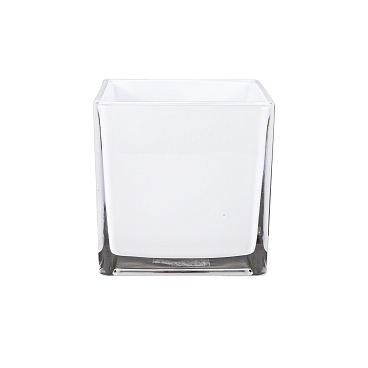 Роза чайно-гибридная Мейне Роз