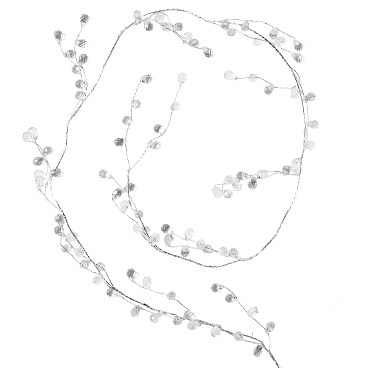 Рододендрон гибридный Пурпуреум Грандифлорум