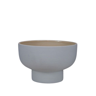 Клематис цельнолистный Хакури