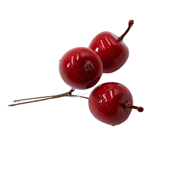 Рододендрон гибридный Вон Охамб Вословиц