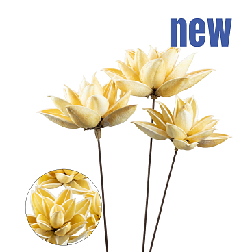 Груша обыкновенная Лада | Оптовая цветочная компания «Флора Групп» Груша обыкновенная Лада