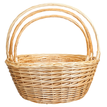 Чубушник Пионер