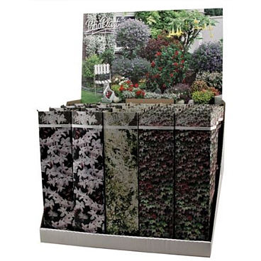 Climbing Plants Pergola Mix