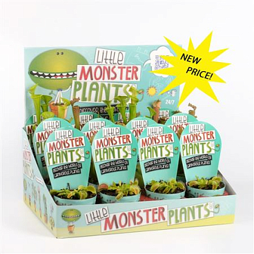 Little Monster Plants In Dislaydoos
