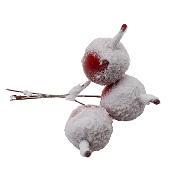 Рододендрон гибридный Дабл Кисс