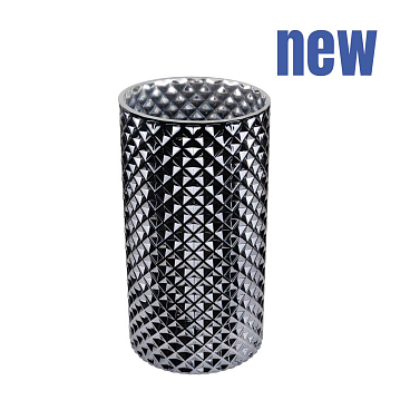 Туя западная Дагрутс Спир