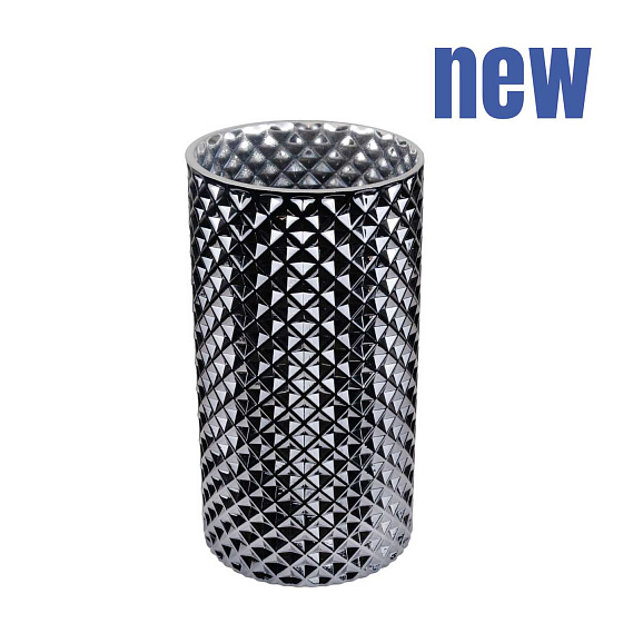 Туя западная Дегрот Спайр