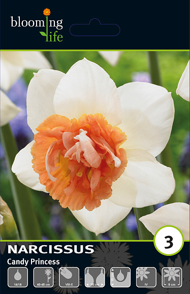 Нарцисс махровый Кенди Принцесс