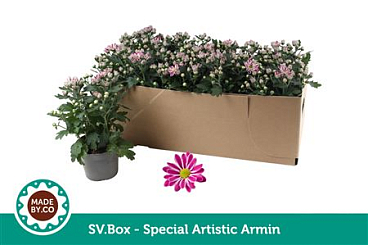 Chry Special Artist Armin In Sv.box