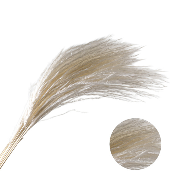 Яблоня домашняя Белый Налив