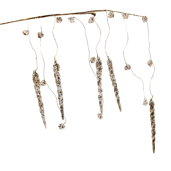 Рододендрон гибридный Гумбольт