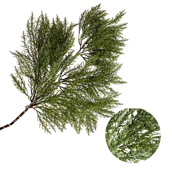 Рододендрон гибридный Тарагона