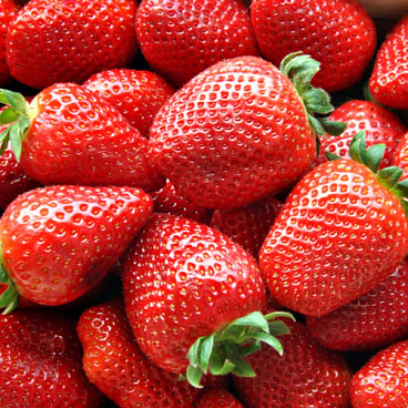 Земляника Верона