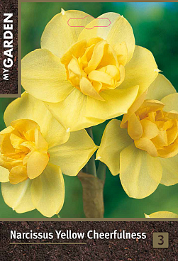 Нарцисс махровый Йеллоу Чирфулнесс