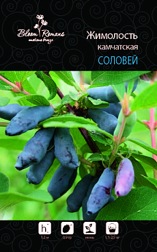 Жимолость камчатская Соловей