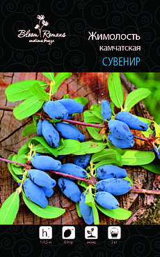 Жимолость камчатская Сувенир | Оптовая цветочная компания «Флора Групп» Жимолость камчатская Сувенир